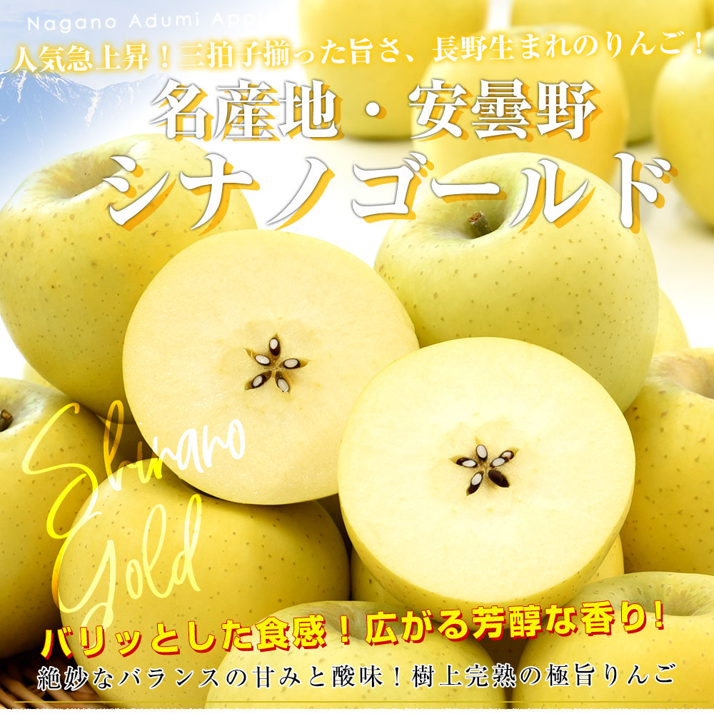 長野県産 JAあづみ 安曇野 シナノゴールド 約3キロ （8玉から12玉