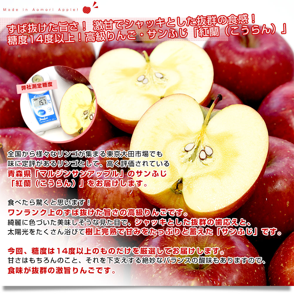 青森県産 高糖度りんご サンふじ 「紅蘭（こうらん）」 約3キロ (9玉