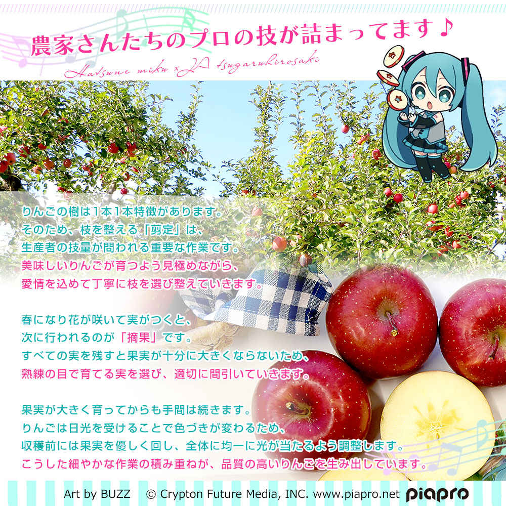 青森県より産地直送 JAつがる弘前 サンふじ 王林 最上級品 初音ミク 鏡
