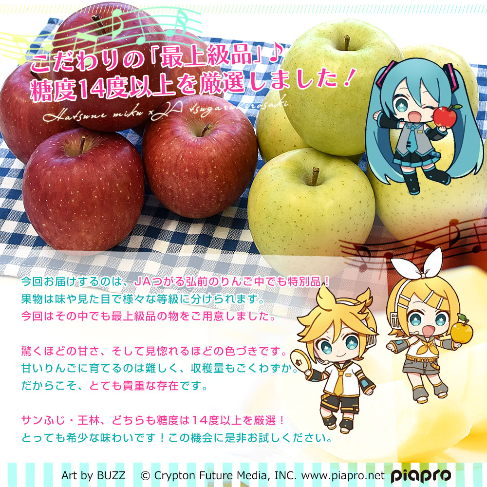 青森県より産地直送 JAつがる弘前 サンふじ 王林 最上級品 初音ミク 鏡
