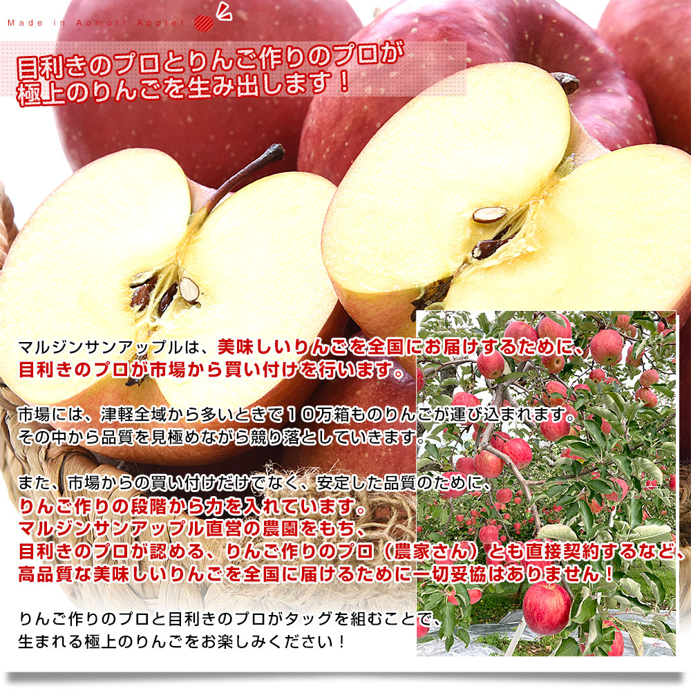 りんご 20kgの商品一覧 通販 - Yahoo!ショッピング
