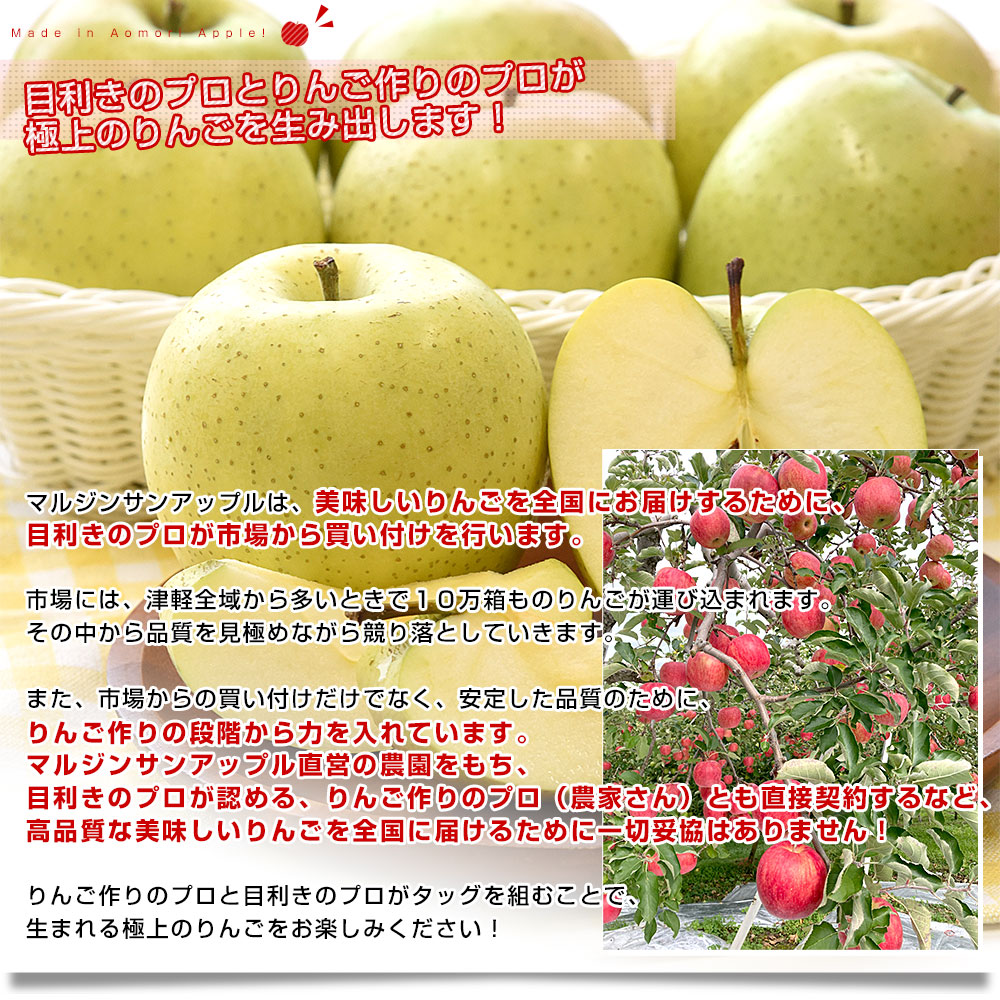 青森県より産地直送 マルジン・サンアップル 糖度14度以上 王林 「紫蘭