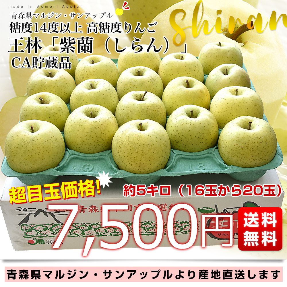青森県より産地直送 マルジン・サンアップル 糖度14度以上 王林 「紫蘭