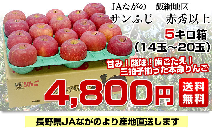 長野県より産地直送 JAながの 飯綱地区 サンふじ 赤秀以上 5キロ (14玉から20玉) 送料無料 林檎 りんご リンゴ :120002889:産直だより  - 通販 - Yahoo!ショッピング