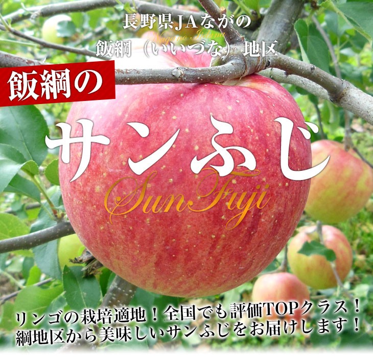 長野県より産地直送 JAながの 飯綱地区 サンふじ 赤秀以上 5キロ (14玉から20玉) 送料無料 林檎 りんご リンゴ