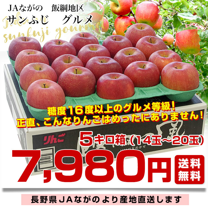 長野県より産地直送 JAながの飯綱地区 サンふじ 最高等級:グルメ