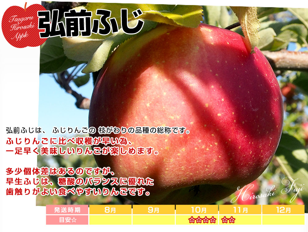 りんごっち　おまとめ3点 キュンとする甘酸っぱさ！ちびっこりんご(2玉NZ産)|有機野菜