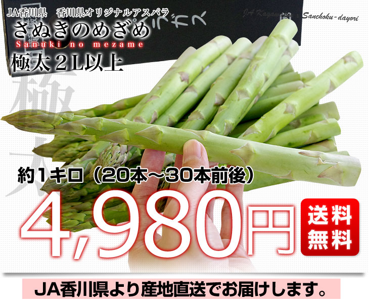 香川県より産地直送 JA香川県アスパラ さぬきのめざめ 2L以上 約1キロ (20本から30本前後) 送料無料 丸亀市他 アスパラガス  :1801002032:産直だより - 通販 - Yahoo!ショッピング