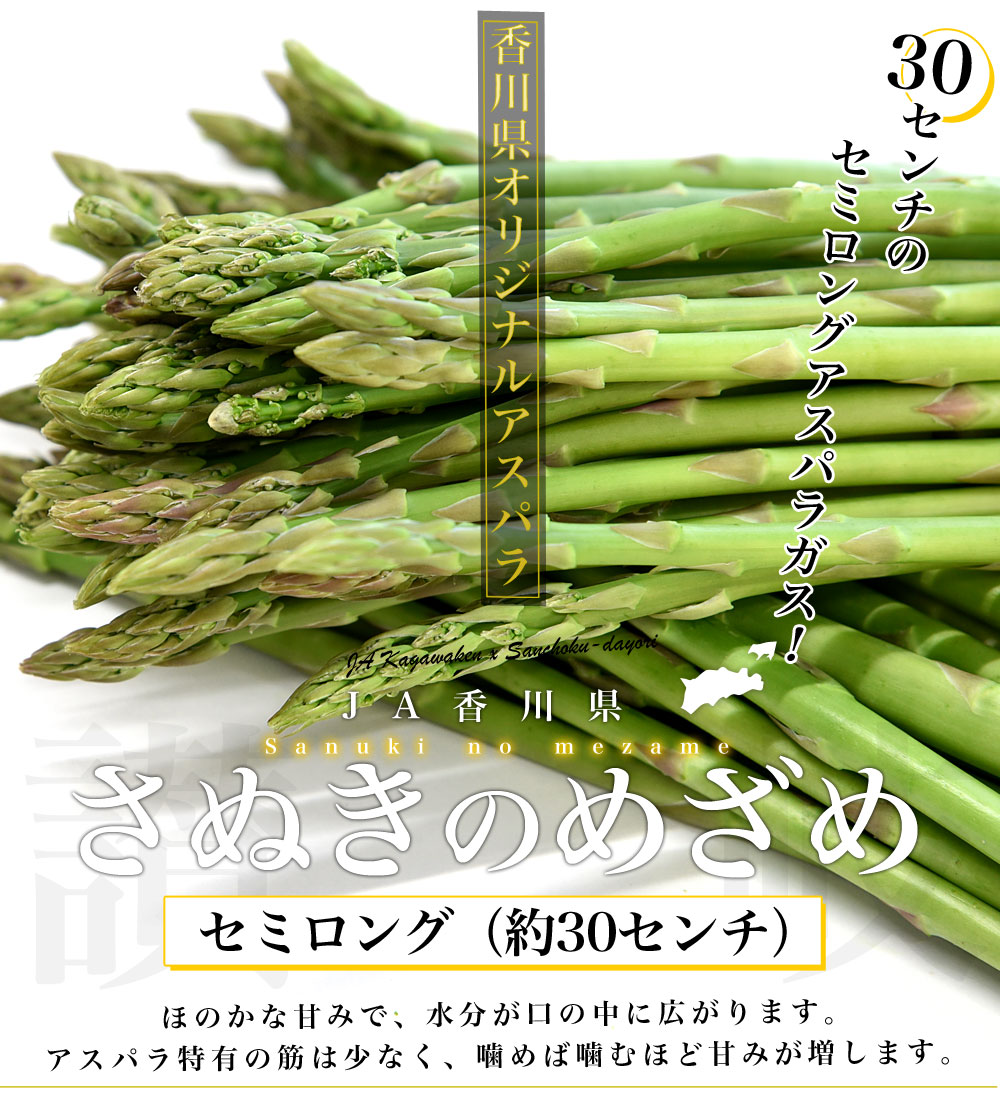 市場 ふるさと納税 野菜 さぬきのめざめ夏芽 アスパラガス 先行予約 2022年 700g