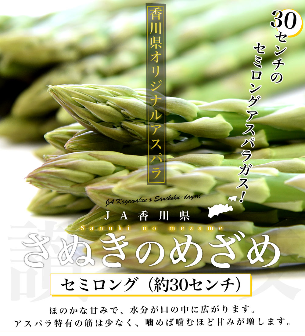 市場 ふるさと納税 野菜 さぬきのめざめ夏芽 アスパラガス 先行予約 2022年 700g