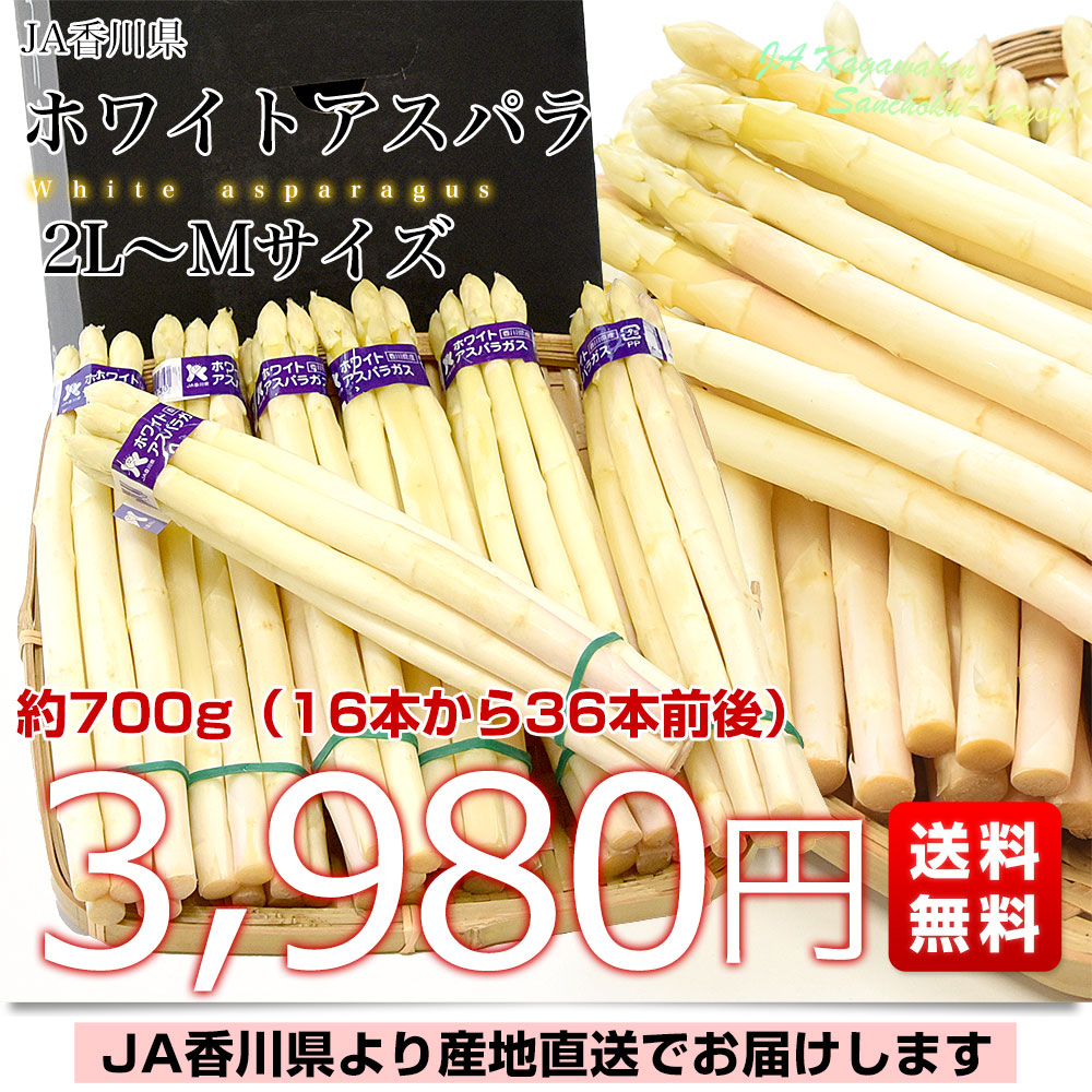 香川県より産地直送 JA香川県 ホワイトアスパラ 2LからMサイズ 約700g