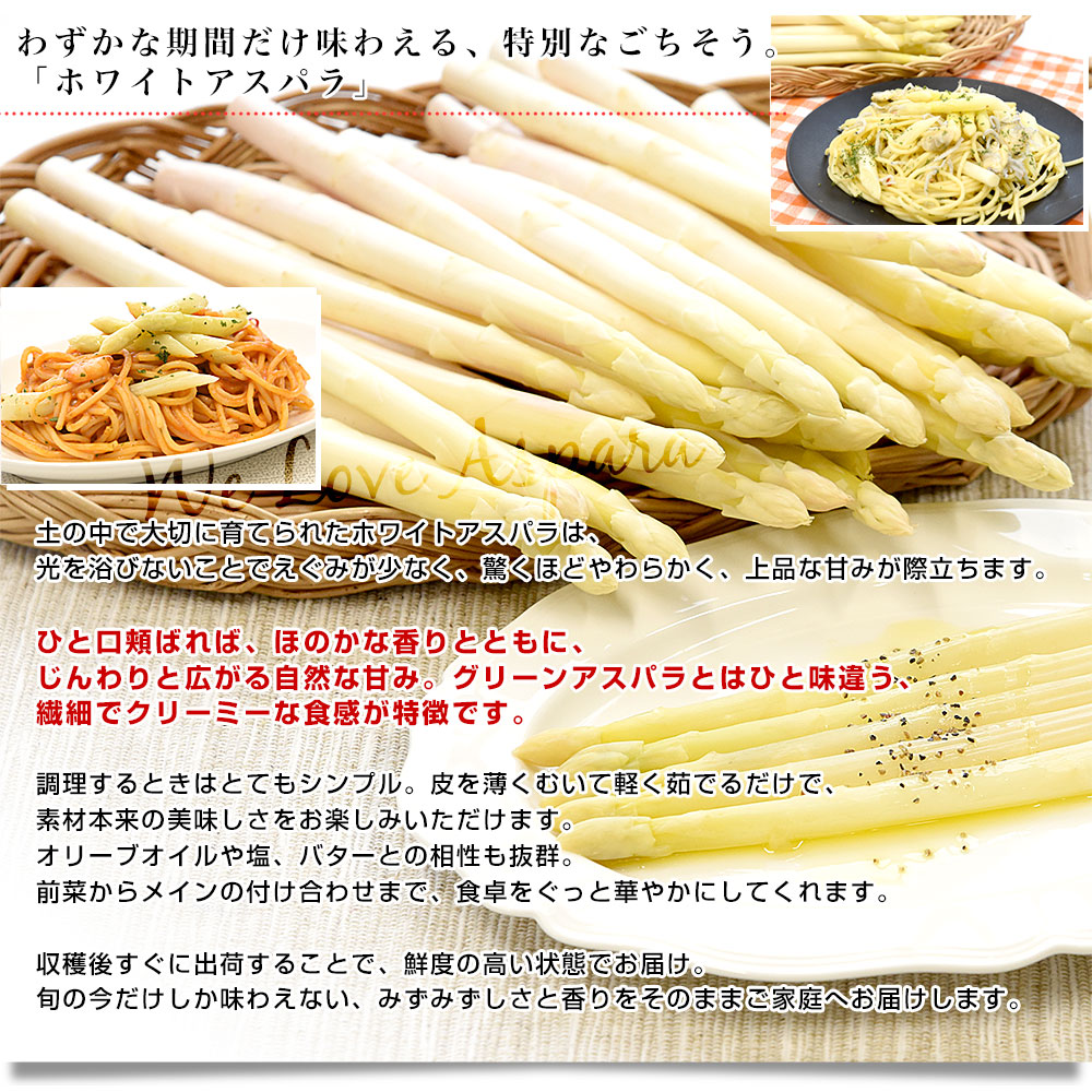 香川県より産地直送 JA香川県 ホワイトアスパラ 2LからMサイズ 約700g
