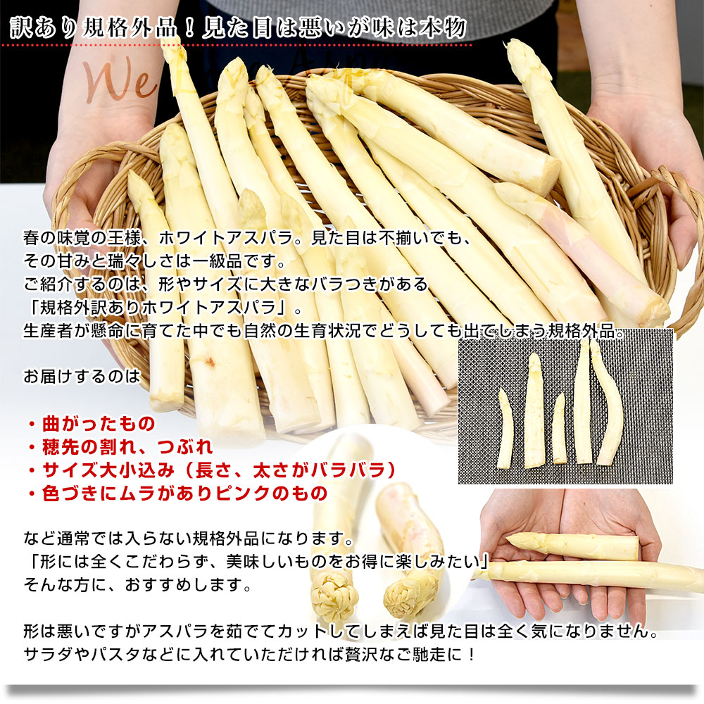 香川県より産地直送 JA香川県 規格外訳あり品...の詳細画像4