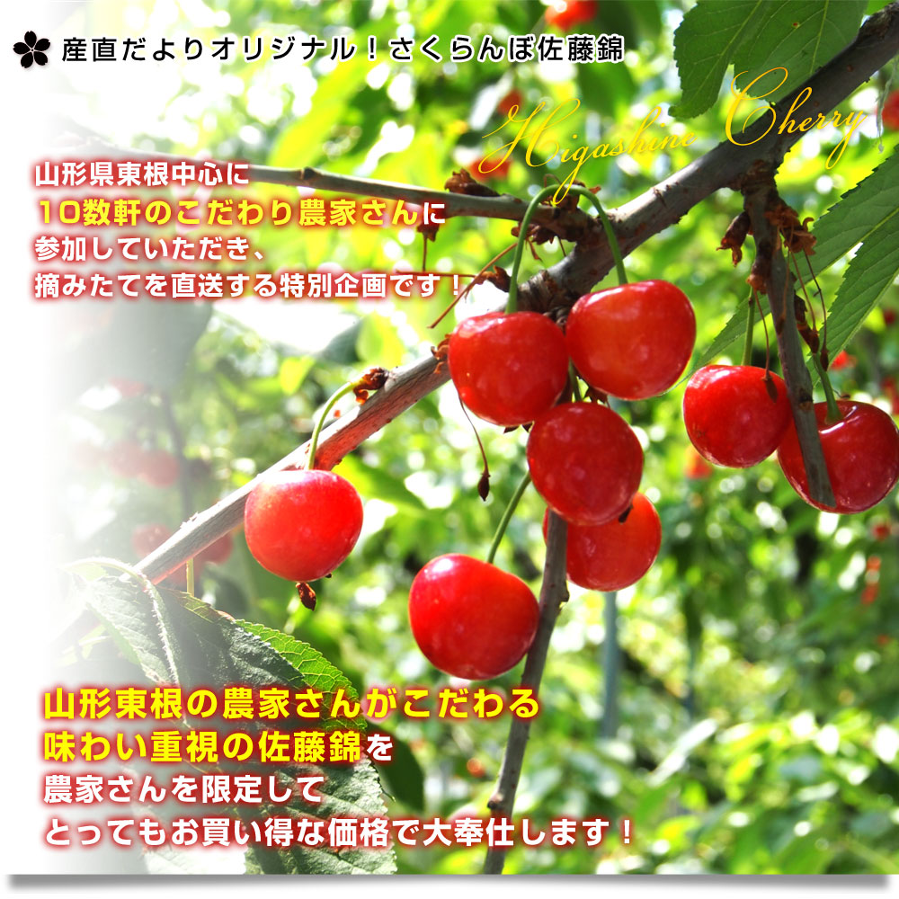 サクランボン様専用です Quotidianosostenibile It