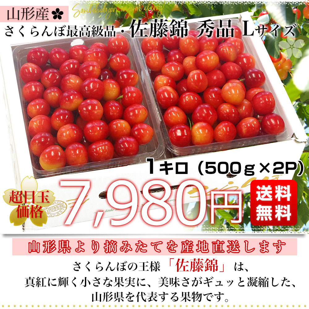 山形県より産地直送 さくらんぼ佐藤錦 大粒Lサイズ 秀品1キロ (500g×2P