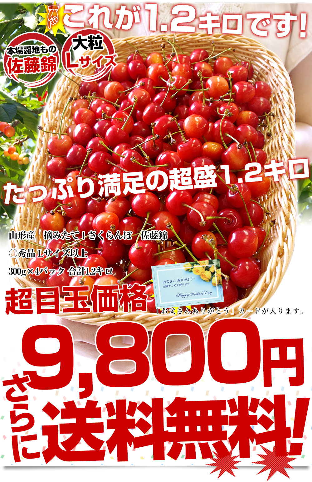 【父の日ギフト】 山形県より産地直送！ さくらんぼ 佐藤錦 ○秀品 大ボリューム1.2キロ Lサイズ（300g×4パック） 送料無料 クール便　サクランボ　桜桃 |  | 02
