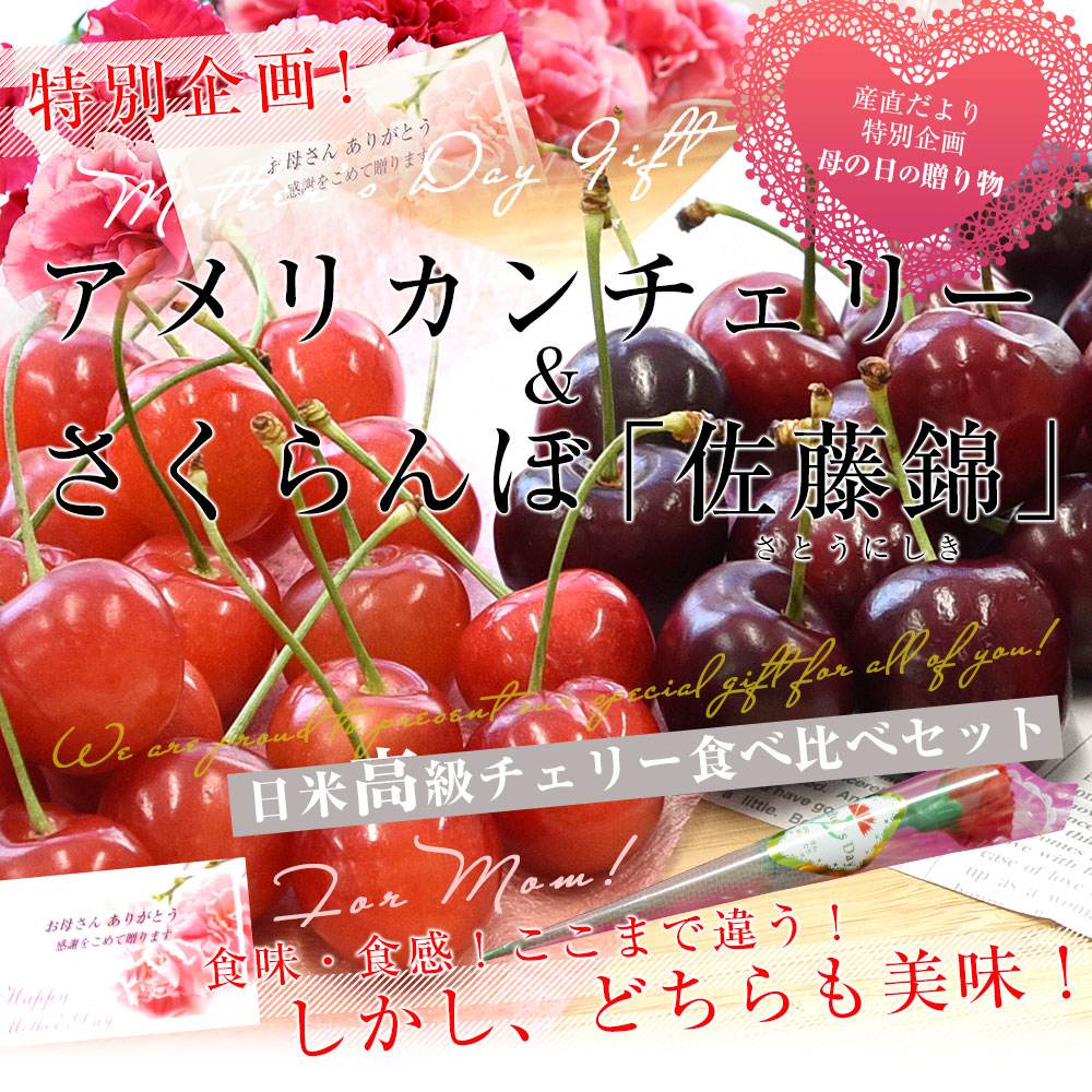 大粒アメリカンチェリー　10.5SIZEさくらんぼ　2kg ameche2k_c5.jpg