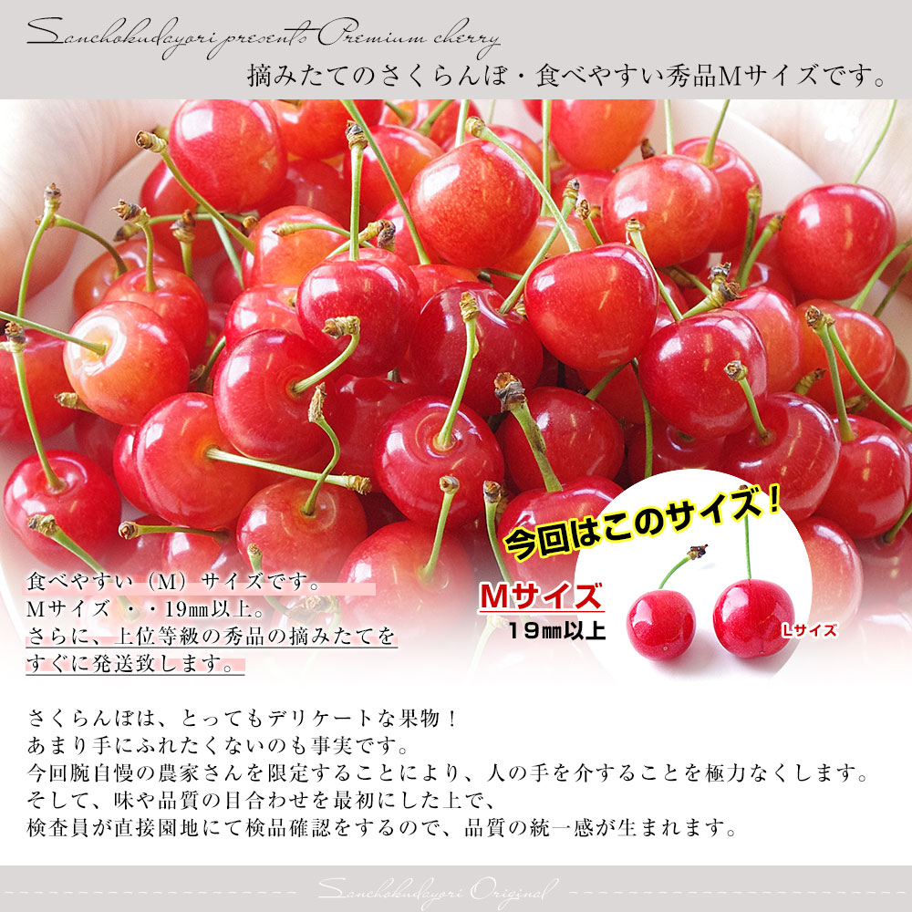 山形県より産地直送 さくらんぼ佐藤錦 Mサイズ 秀品1キロ (500g×2P入