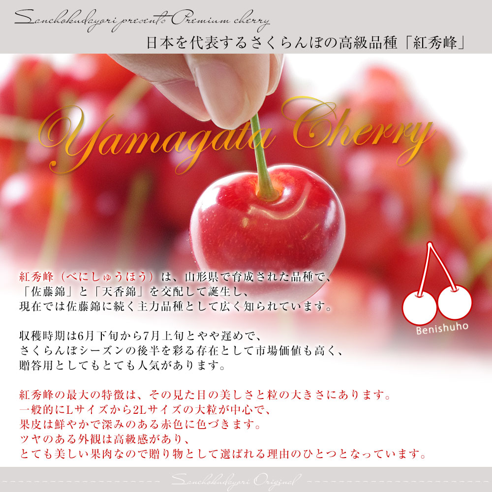山形県より産地直送 さくらんぼ「紅秀峰」秀品 2Lサイズ 約1キロ（500g