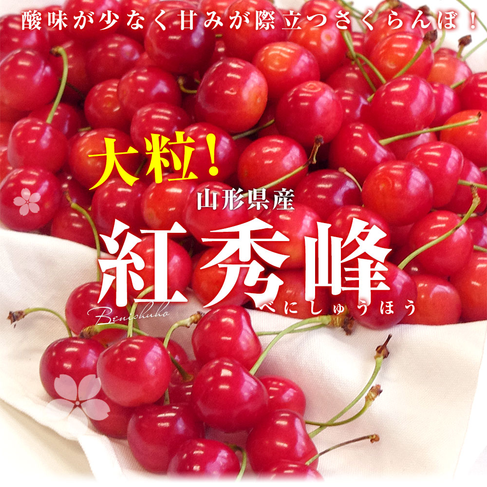 山形県より産地直送 さくらんぼ「紅秀峰」秀品 2Lサイズ 約500g