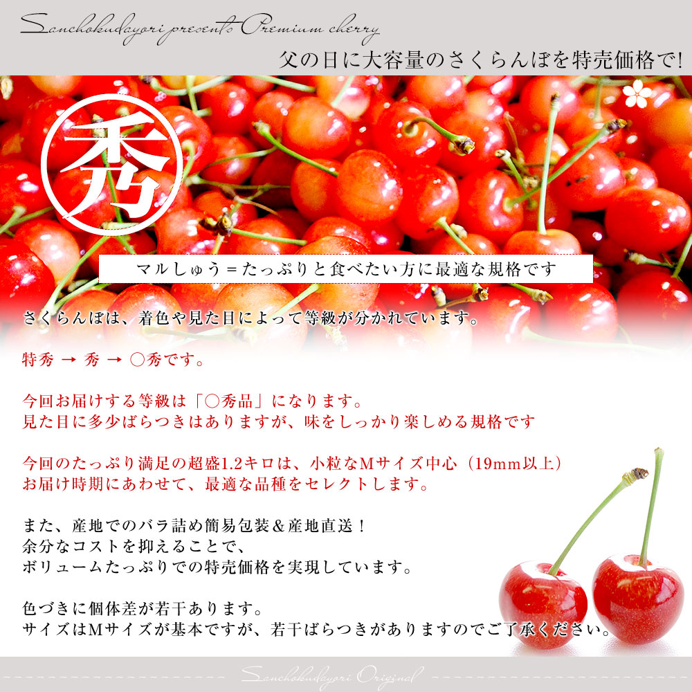 【父の日ギフト】山形県より産地直送！品種おまかせさくらんぼ ○秀品 大ボリューム1.2キロMサイズ以上（300g×4パック）桜桃　送料無料 クール便　サクランボ |  | 03