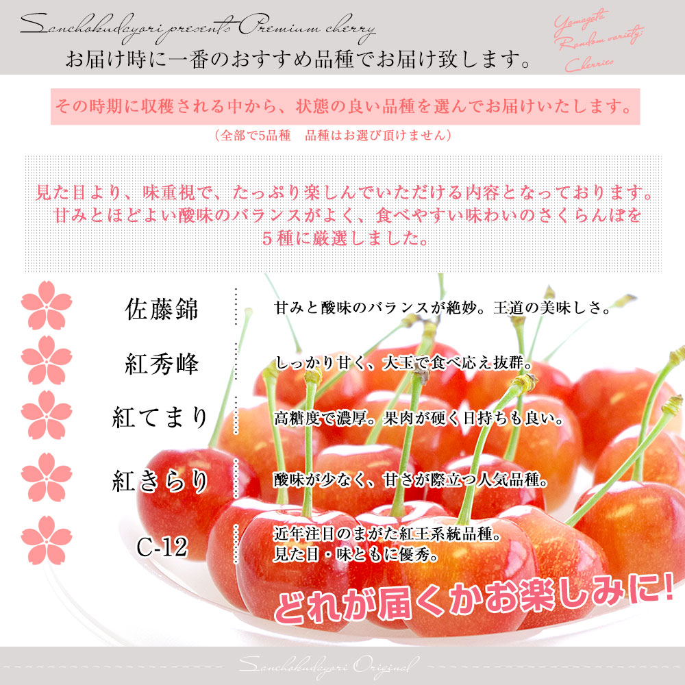【父の日ギフト】山形県より産地直送！品種おまかせさくらんぼ ○秀品 大ボリューム1.2キロMサイズ以上（300g×4パック）桜桃　送料無料 クール便　サクランボ |  | 04
