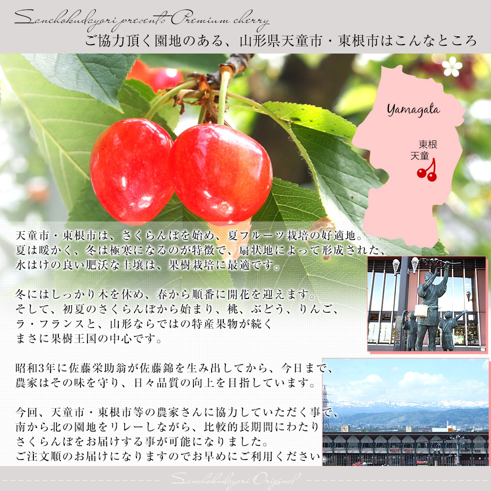 【父の日ギフト】山形県より産地直送！品種おまかせさくらんぼ ○秀品 大ボリューム1.2キロMサイズ以上（300g×4パック）桜桃　送料無料 クール便　サクランボ |  | 07