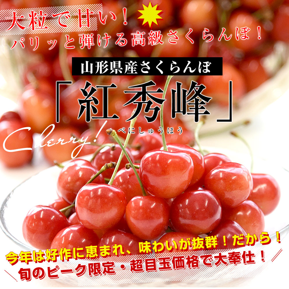 山形県産さくらんぼ「紅秀峰」秀品 Lサイズ以上 衝撃の超盛 約1.2キロ