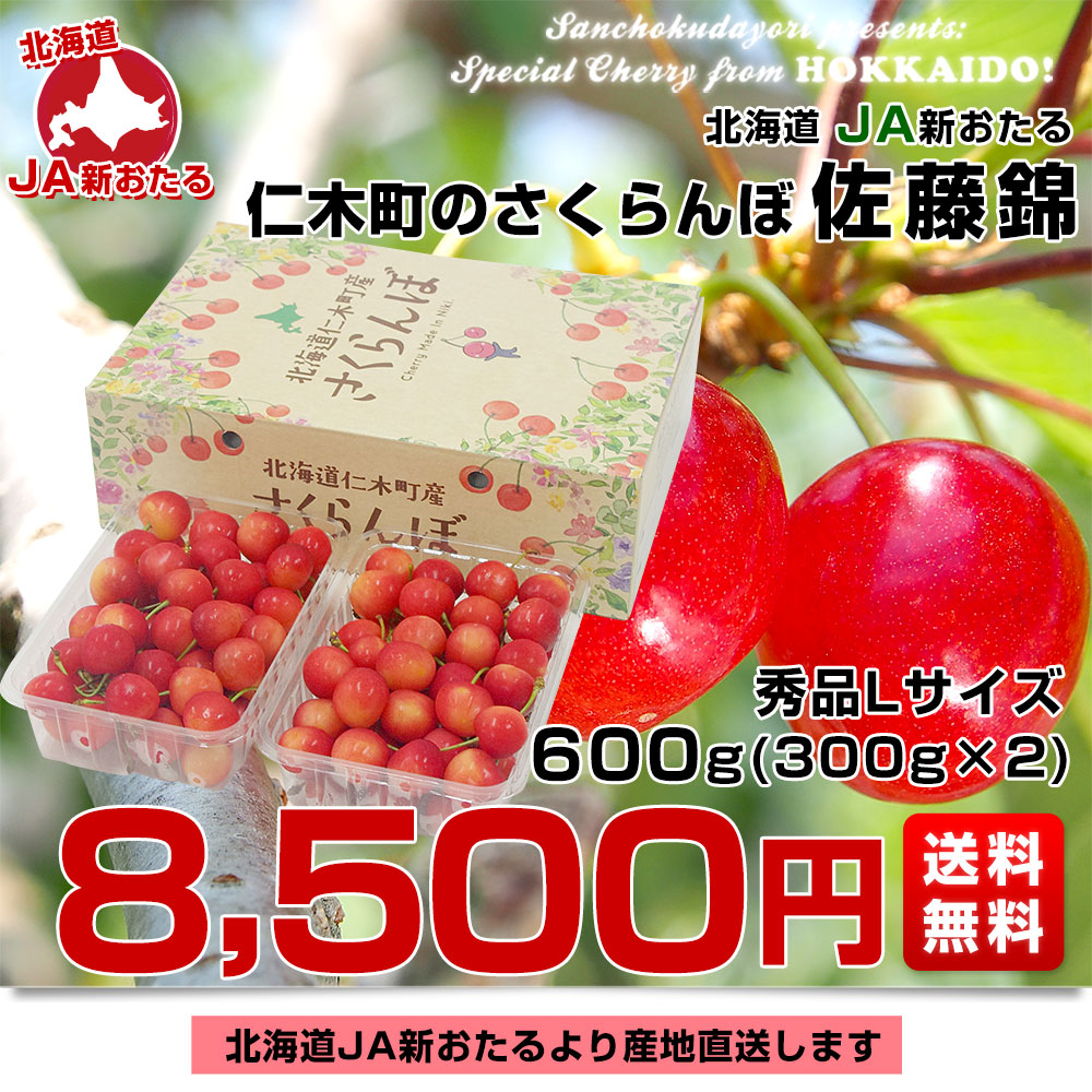 さくらんぼの木「搬送時はエコメルカル便指定」 さくらんぼの木「搬送時はエコメルカル便指定」 - メルカリ