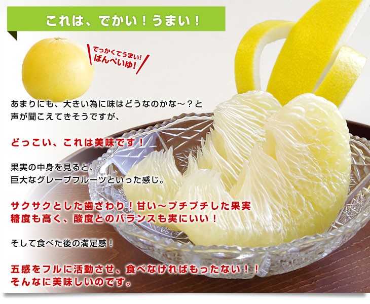 晩白柚☆様×4 熊本産JAやつしろ 晩白柚 大玉 3玉入り 4キロから5キロ 送料無料