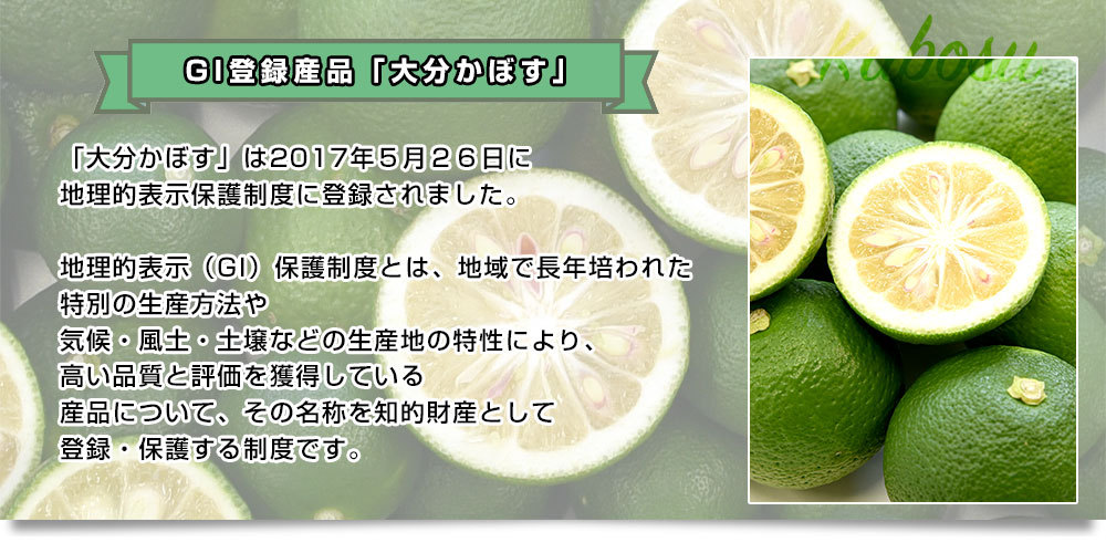 大分県産 JA全農おおいた 大分かぼす 秀品 Lサイズ 約2キロ 24個前後 送料無料 カボス 香母酢 香酸柑橘 薬味 市場発送  :4100922775:産直だより - 通販 - Yahoo!ショッピング