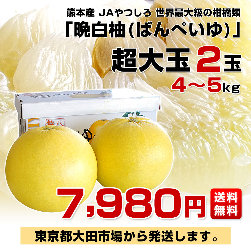 熊本産JAやつしろ 晩白柚 超大玉 2玉入り 4キロから5キロ 送料無料