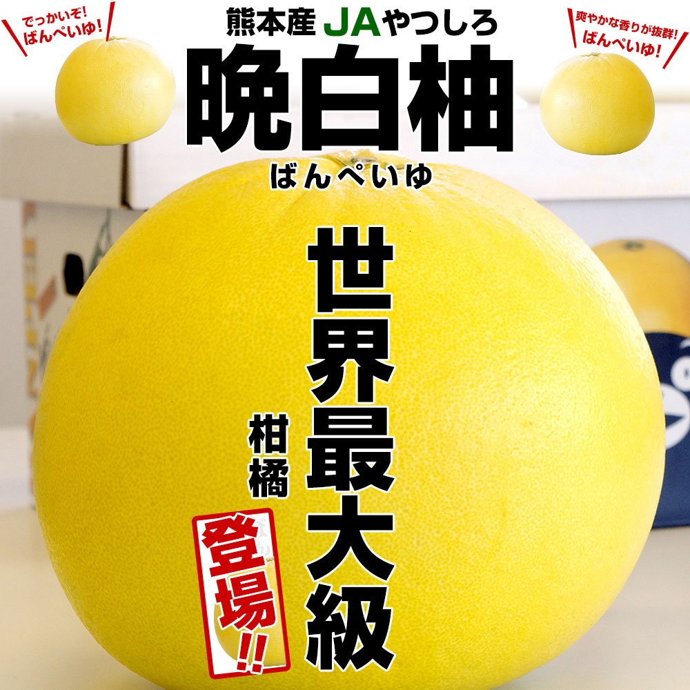 熊本産JAやつしろ 晩白柚 大玉 3玉入り 4キロから5キロ 送料無料