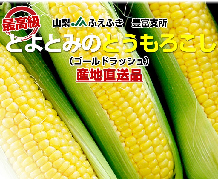 d_corn16_phb.jpg d_corn16_phb.jpg
