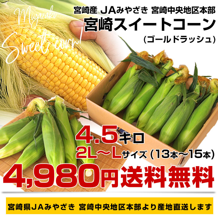 宮崎県より産地直送 JAみやざき 宮崎中央地区本部 とうもろこし (ゴールドラッシュ) 2LからＬサイズ 4.5キロ (13本から15本) 送料無料 ※クール便｜sanchokudayori｜03