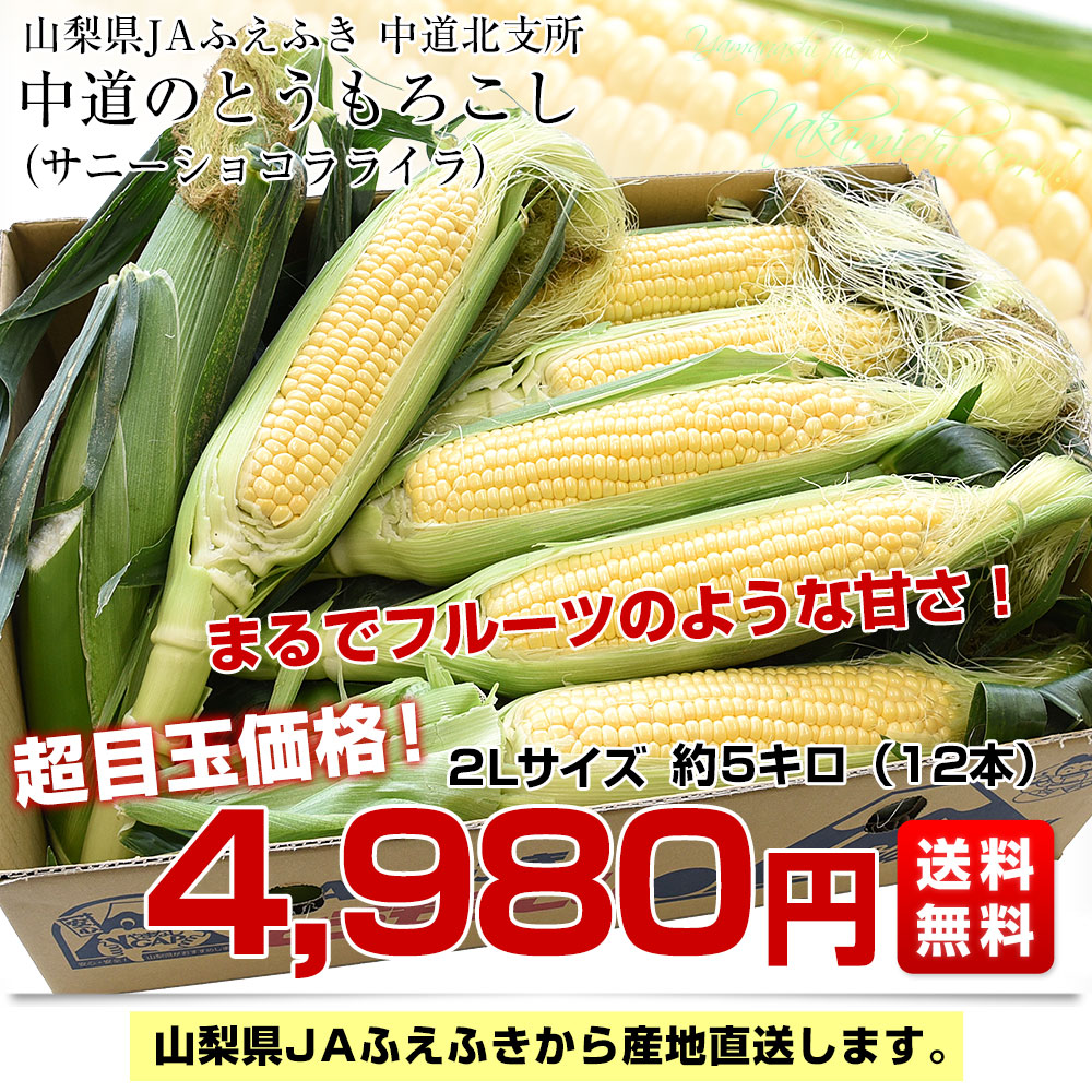 ティエラ様 山梨県産 10kg 新鮮 青梅 甲州小梅 クール便発送 Amazon