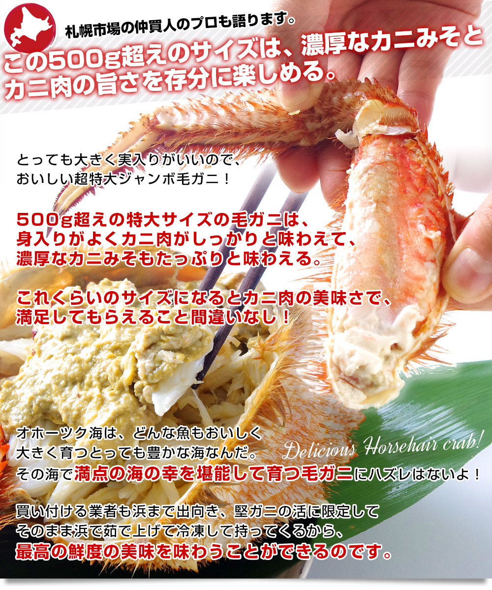 代引き手数料無料 1 セール 激安 北海道 オホーツク産 冷凍 浜茹で毛蟹