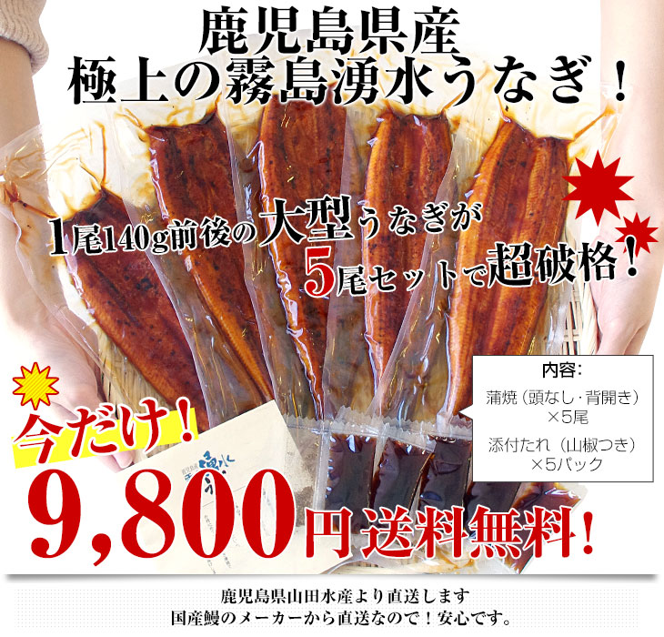 鹿児島県志布志産 山田水産 霧島湧水うなぎ 長蒲焼き 大サイズ5尾セット(140g前後×5尾)送料無料 鰻師 加藤尚武さん :3100341447:産直だより - 通販 - Yahoo!ショッピング 鹿児島県志布志産 山田水産 霧島湧水うなぎ 長蒲焼き 大サイズ5尾セット(140g前後×5尾)送料無料 鰻師 加藤尚武さん :3100341447:産直だより - 通販 - Yahoo!ショッピング