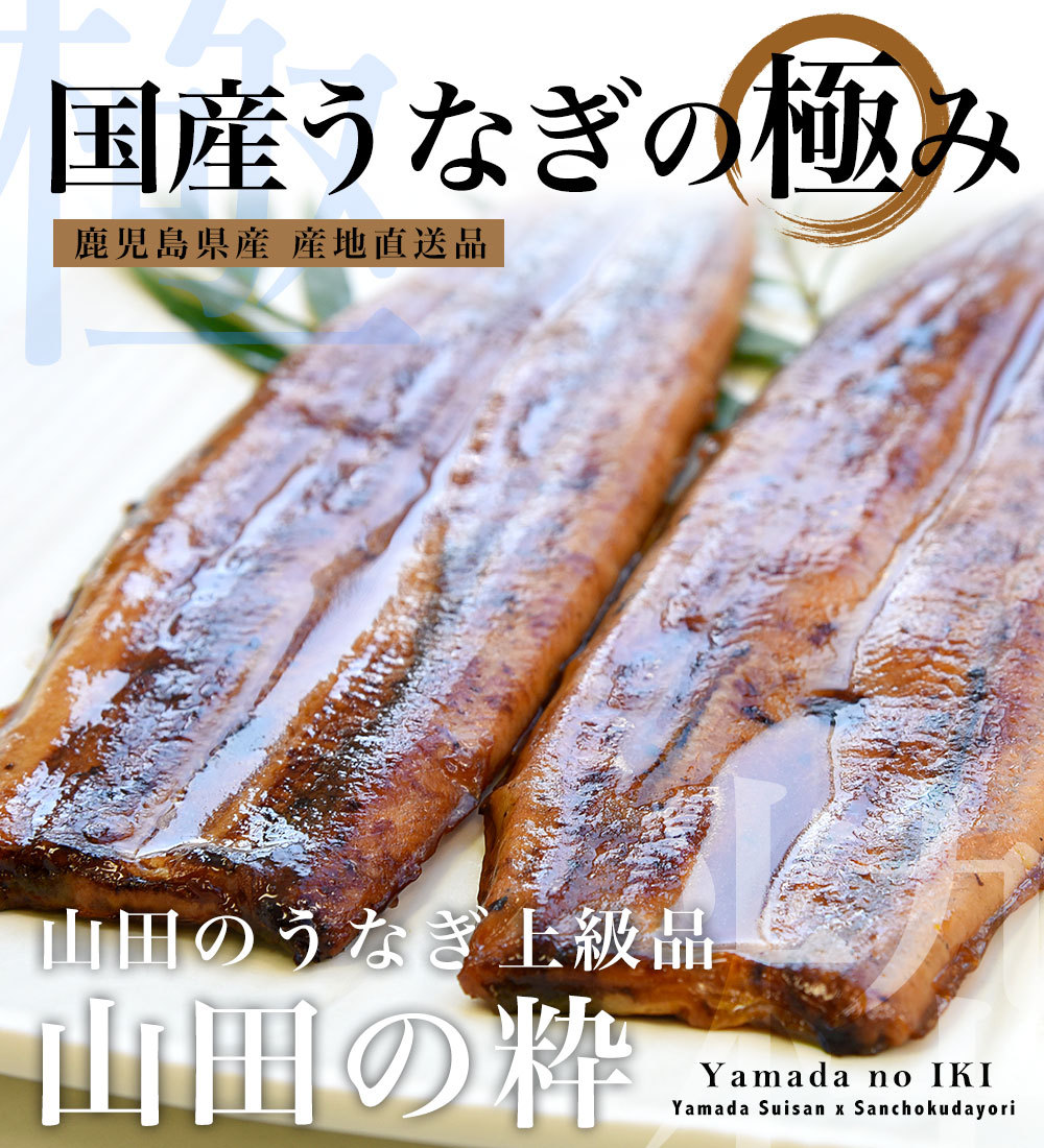 鹿児島県産 山田水産の極上国産うなぎ蒲焼「山田の粋（やまだのいき）」長焼（120g×4尾）送料無料 鰻蒲焼 ウナギ お中元 御中元 夏ギフト :  3100342001 : 産直だより+PLUS - 通販 - Yahoo!ショッピング