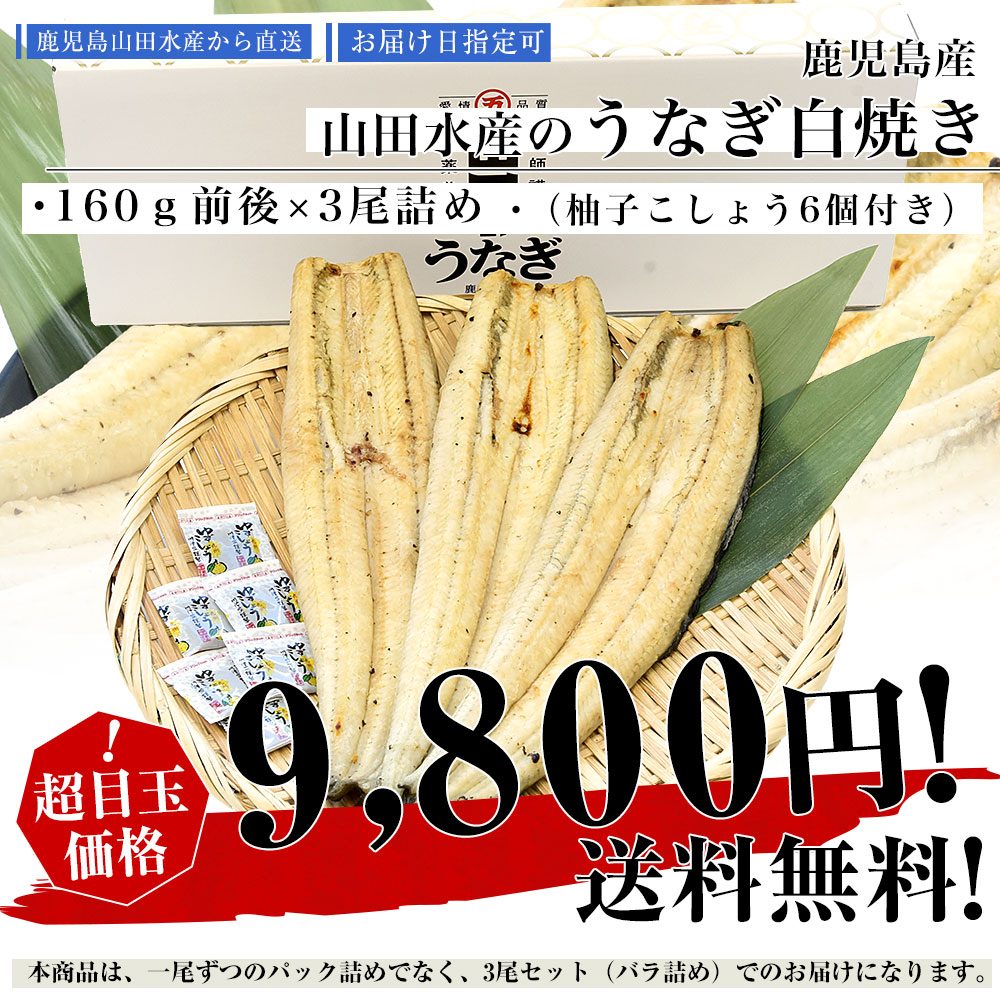 鹿児島県志布志産 山田水産のうなぎ 白焼き 160g前後×3尾詰め（柚子こしょう付き）送料無料 鰻師 加藤尚武さん 鰻 ウナギ 白焼き クール冷凍便 ギフト｜sanchokudayori｜03