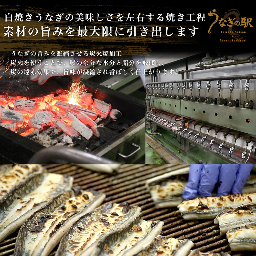 鹿児島県志布志産 山田水産のうなぎ 白焼き 160g前後×3尾詰め（柚子こしょう付き）送料無料 鰻師 加藤尚武さん 鰻 ウナギ 白焼き クール冷凍便 ギフト｜sanchokudayori｜09