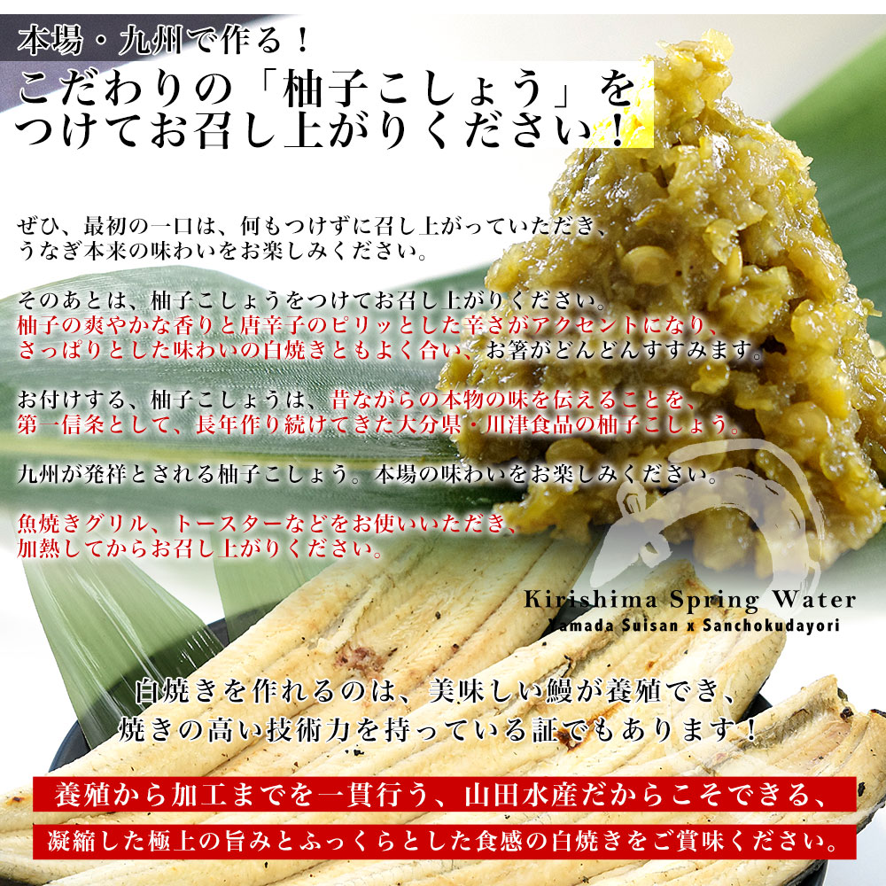 鹿児島県志布志産 山田水産のうなぎ 白焼き 160g前後×3尾詰め（柚子こしょう付き）送料無料 鰻師 加藤尚武さん 鰻 ウナギ 白焼き クール冷凍便 ギフト｜sanchokudayori｜14