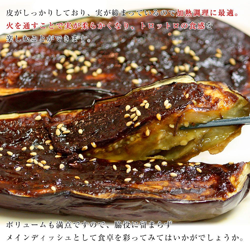 完売 高知県産 JAグループ高知 米なす A級品9玉 約2.5キロ 送料無料 べいなす 茄子 ナス 市場発送 jburnhamlaw.com 完売 高知県産 JAグループ高知 米なす A級品9玉 約2.5キロ 送料無料 べいなす 茄子 ナス 市場発送 jburnhamlaw.com