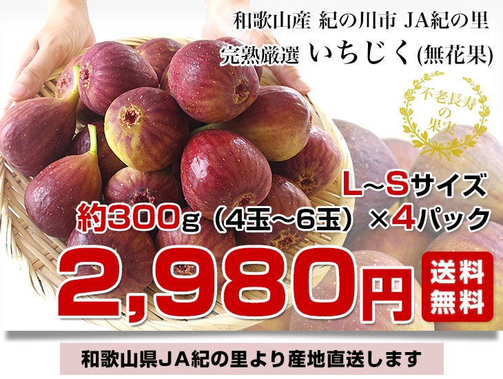特価商品 いちじく 1.2kg 大阪 和歌山産 無花果 イチジク ご家庭用 送料無料 食品