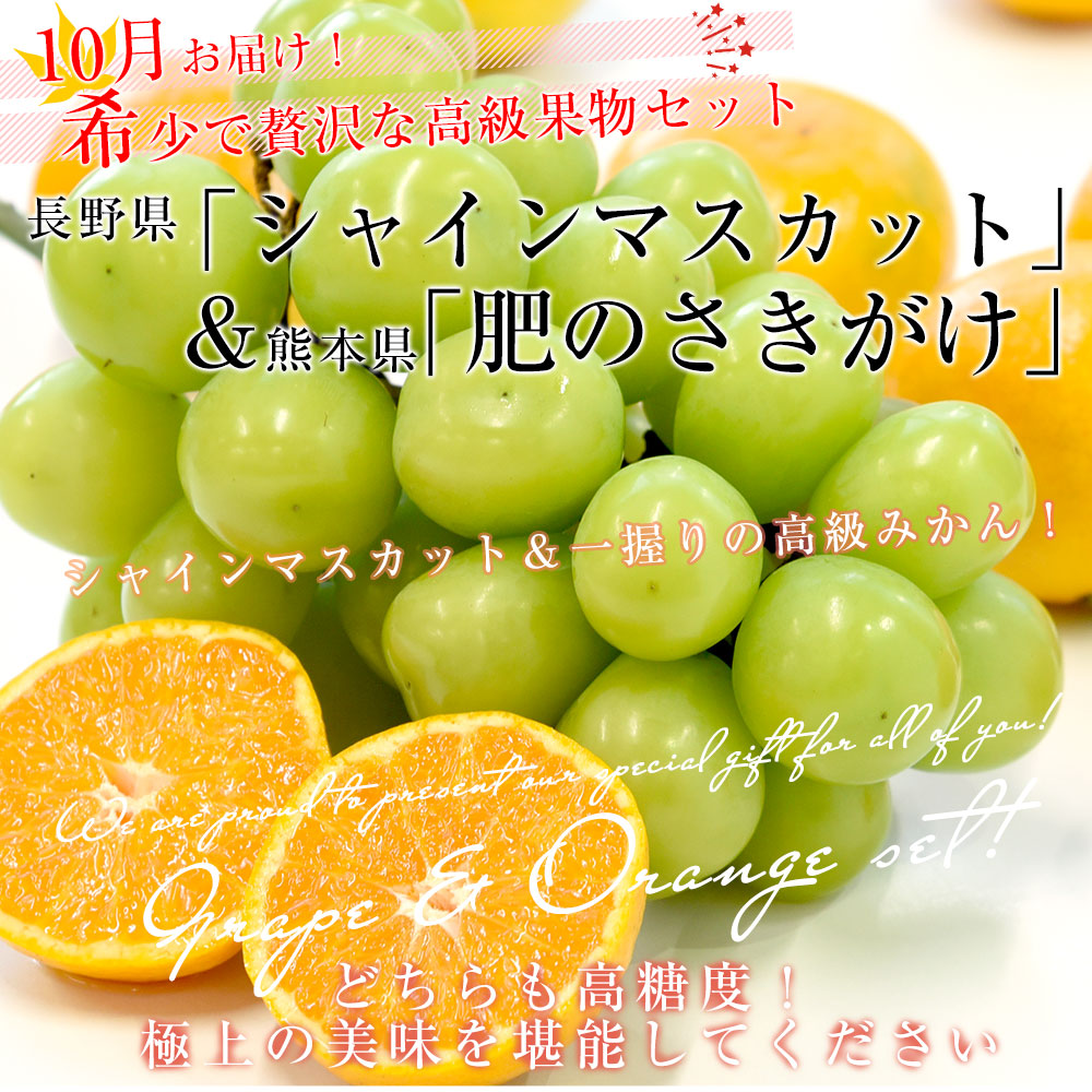 長野県 「シャインマスカット」 1房(約500g)＆熊本県 JA熊本果実連