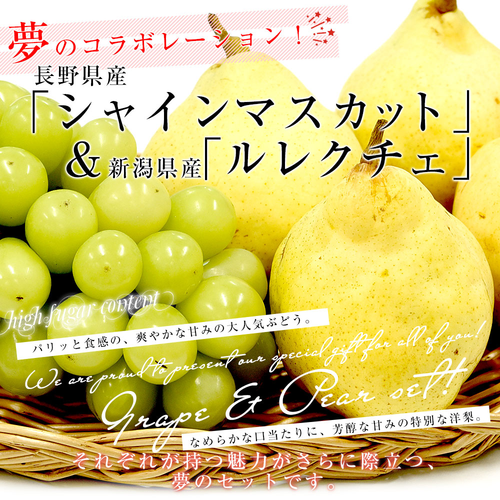 豪華フルーツセット 長野県産 シャインマスカット 1房 約500g ＆新潟県