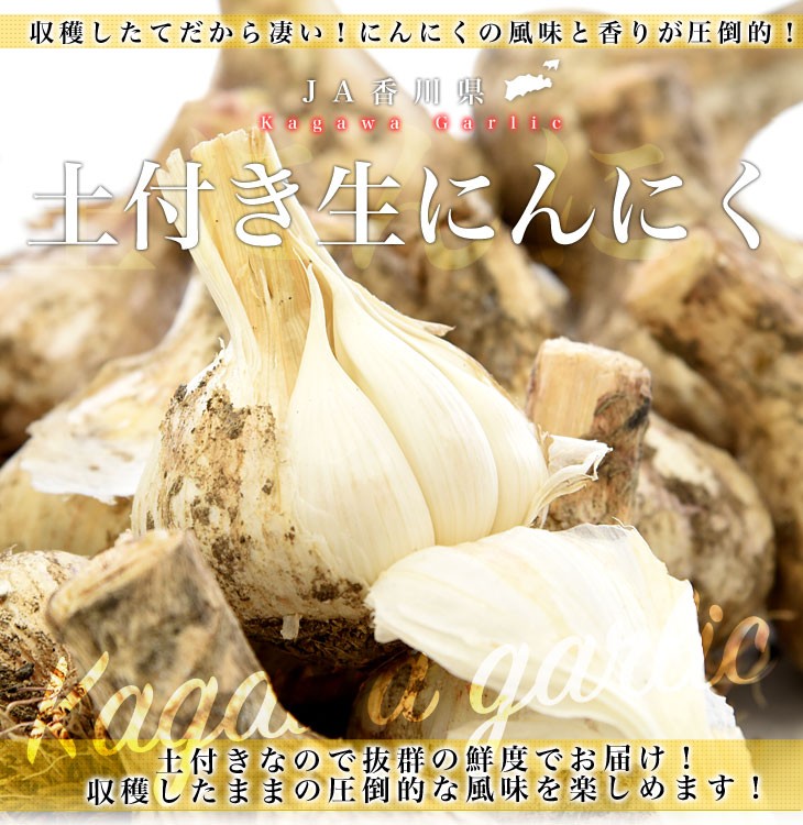 【どっさり！】土付き生にんにく5kg超★香川県産Lサイズ！オマケ付き！ どっさり！】土付き生にんにく5kg超☆香川県産Lサイズ！オマケ