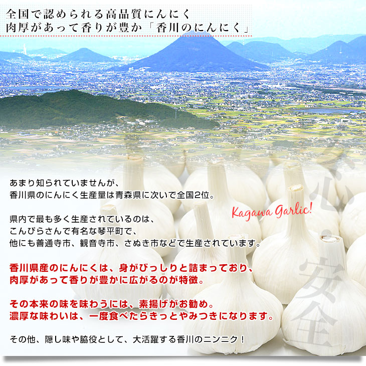 にんにく 商品一覧 - 産直だより - 売れ筋通販 - Yahoo!ショッピング