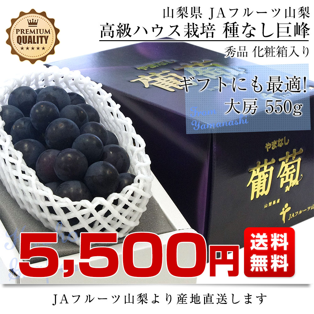 山梨県より産地直送 JAフルーツ山梨 種なし巨峰 秀品 大房1房入り化粧