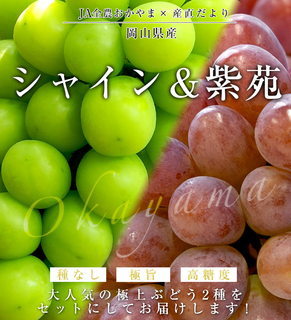 JA全農おかやま協賛 岡山県産 シャインマスカット「晴王」＆紫苑セット 青秀品 (約600g×2房）送料無料 市場発送 クール便 葡萄 ぶどう  はれおう しえん :1238882811:産直だより - 通販 - Yahoo!ショッピング